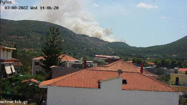 Μεγάλη φωτιά σε δασική έκταση στη Μεσσηνία