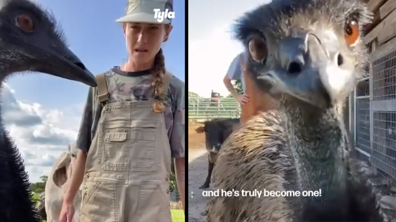 Ο Emmanuel και η κάμερα