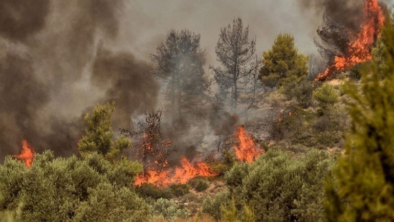 Ρέθυμνο: Σύλληψη για πρόκληση εμπρησμού