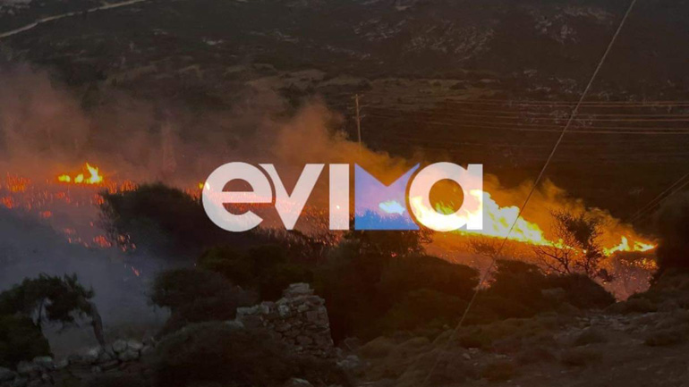 Φωτιά στους Ραπταίους Εύβοιας