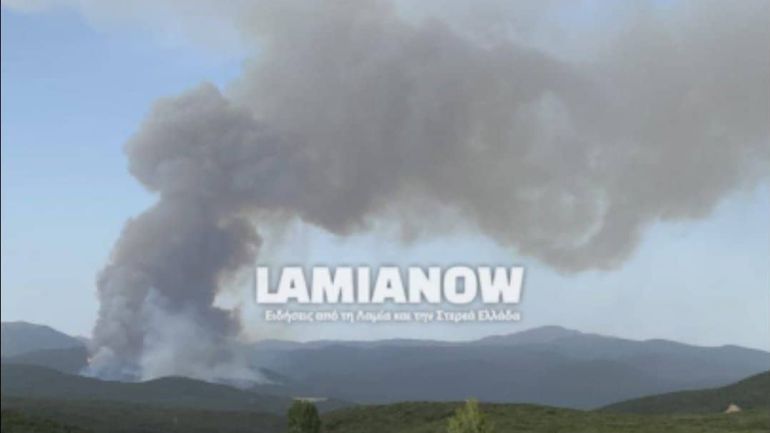 Πυρκαγιά στο Λογγίτσι Στυλίδας – Επιχειρούν επίγειες και εναέριες δυνάμεις