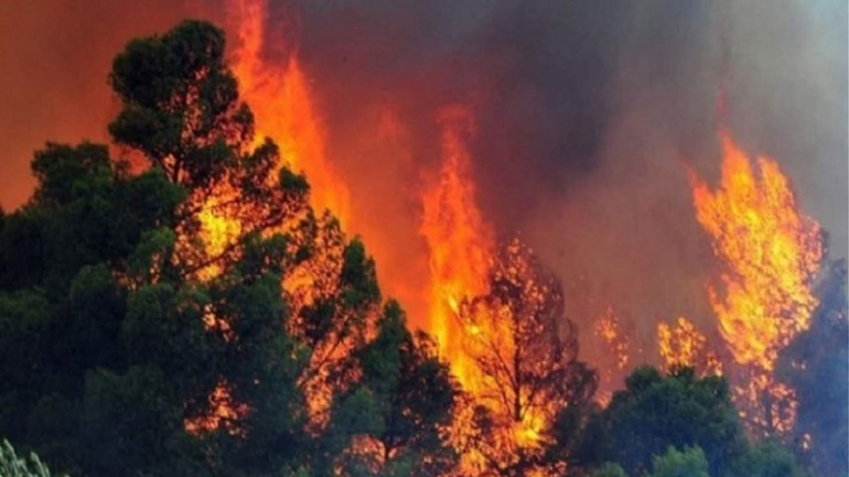 Φθιώτιδα: Φωτιά στο χωριό Πετρωτό