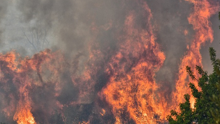 Πολλά τα μέτωπα στην πυρκαγιά στο Πετρωτό Φθιώτιδας -Αυξάνονται οι πυροσβεστικές δυνάμεις
