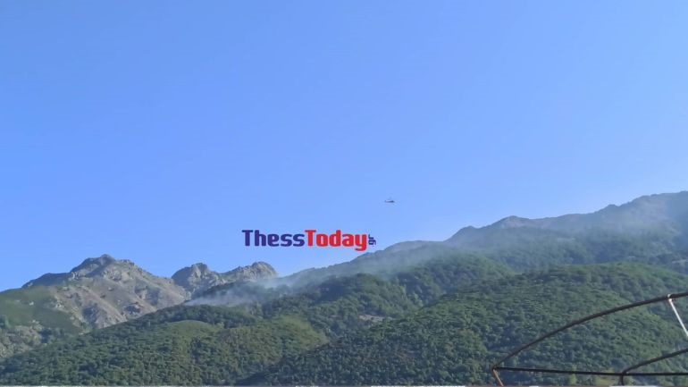 Σαμοθράκη: Σε ύφεση η πυρκαγιά που ξέσπασε σε δύσβατη δασική περιοχή του νησιού