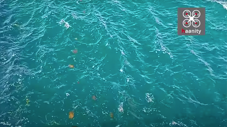 Στρατιά από σαλούφες διασχίζει τα νερά της Χαλκίδας