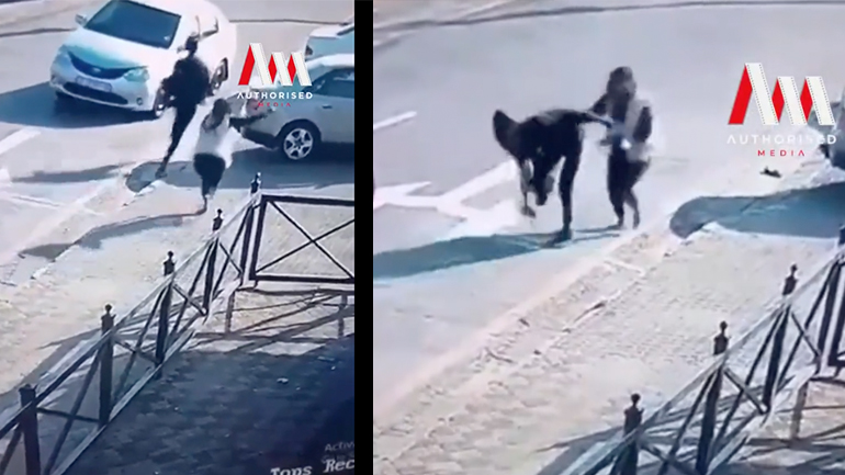 Γενναία γυναίκα εναντίον ενός κλέφτη