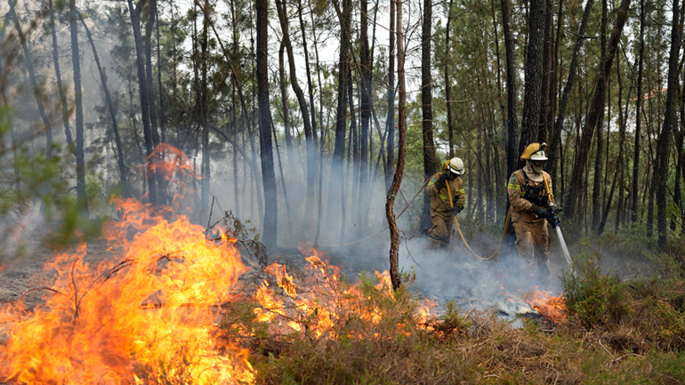 Eθνικός δρυμός συνεχίζει να καίγεται στην Πορτογαλία
