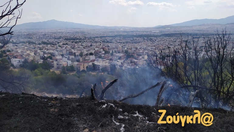 Πυρκαγιά σε δασική έκταση στο Πανόραμα Καματερού