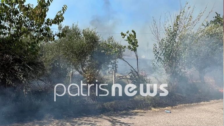 Ηλεία: Φωτιά δίπλα στο γήπεδο του Επιταλίου Ηλεία: Φωτιά δίπλα στο γήπεδο του Επιταλίου