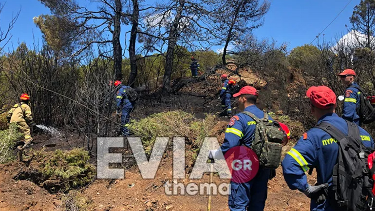 Εύβοια: Φωτιά στα Ψαχνά λόγω βραχυκυκλώματος σε κολώνα της ΔΕΗ