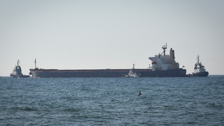 Ουκρανία: Το πρώτο πλοίο που εκμίσθωσε ο ΟΗΕ αναχωρεί με σιτηρά για την Αφρική