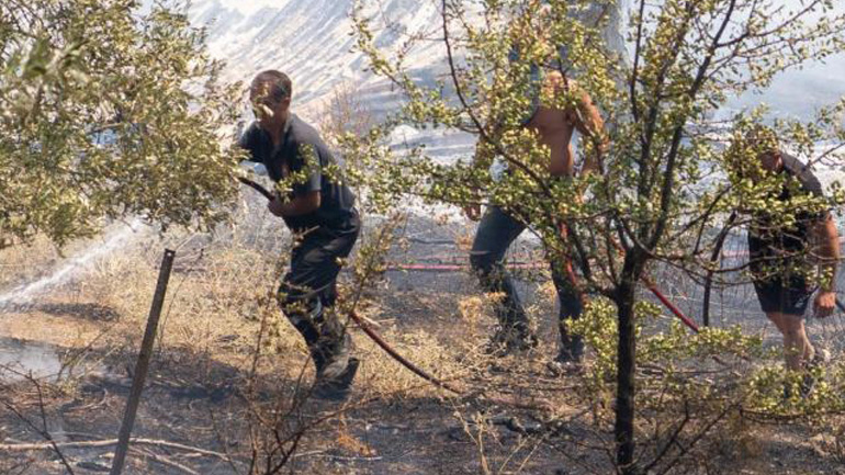 Φθιώτιδα: Πυρκαγιά στην Ελάτεια – Κάηκε μαντρί με τα ζώα