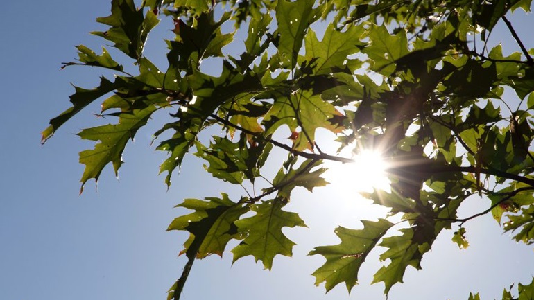 Ο καιρός σήμερα