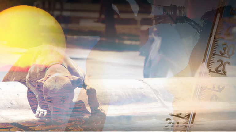 Συνθήκες καύσωνα από αύριο