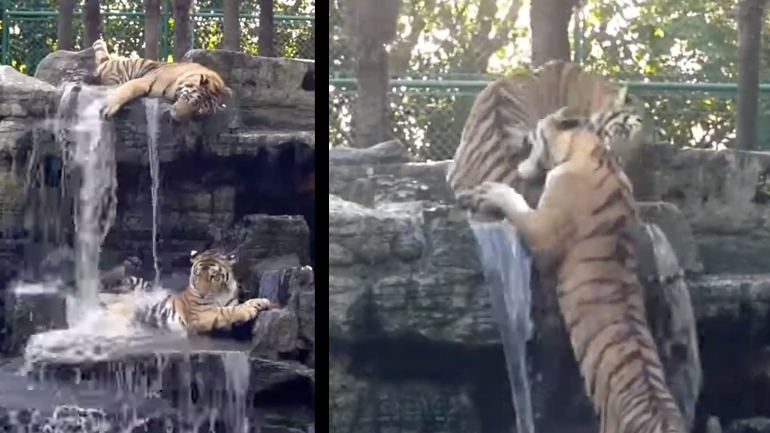 Φτάνει πια!