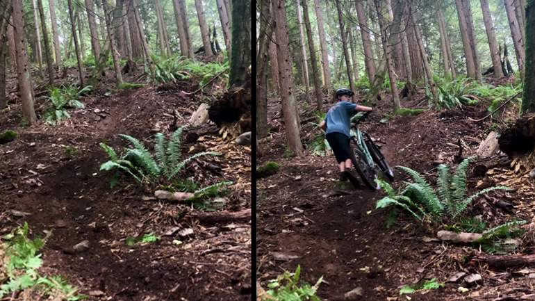 Ποδηλάτης vs αρκούδα