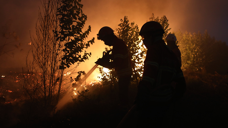 Αλγερία: 26 νεκροί από τις δασικές πυρκαγιές