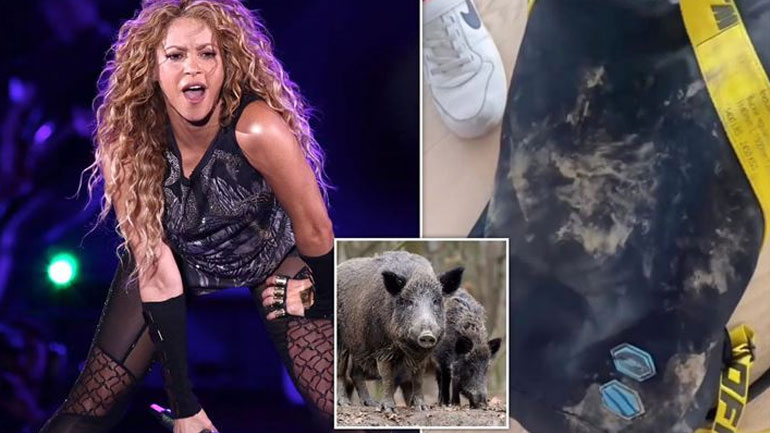 Shakira: Της επιτέθηκαν αγριογούρουνα σε πάρκο της Βαρκελώνης