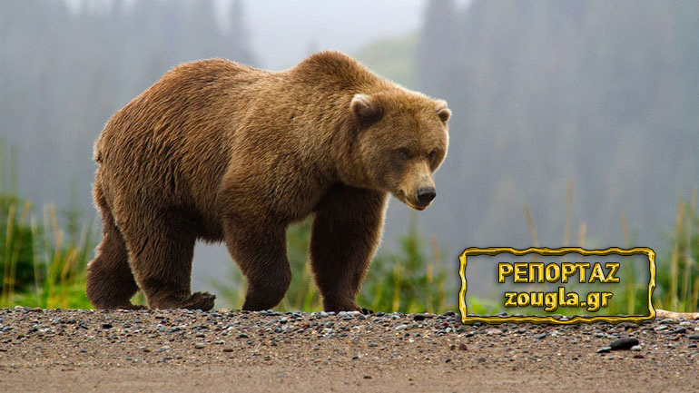 Η ατιμωρησία… «σκοτώνει»