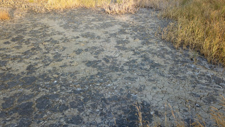 Κομισιόν: Περιοχές της Μεσογείου απειλούνται από ξηρασία έως τον Νοέμβριο Κομισιόν: Περιοχές της Μεσογείου απειλούνται από ξηρασία έως τον Νοέμβριο