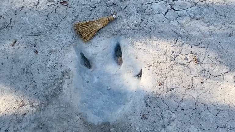 Ίχνη δεινοσαύρων στην κοίτη ποταμού στο Τέξας