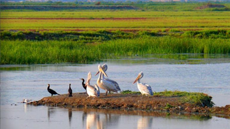 Έβρος: Μέρη πέρα από τον φράχτη