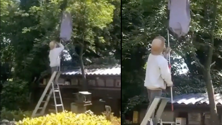 Αφαιρώντας μια φωλιά από σφήκες -fail