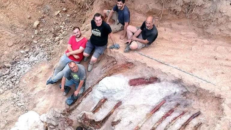 Πορτογαλία: Ο μεγαλύτερος δεινόσαυρος στην Ευρώπη βρέθηκε στην πίσω αυλή ενός σπιτιού