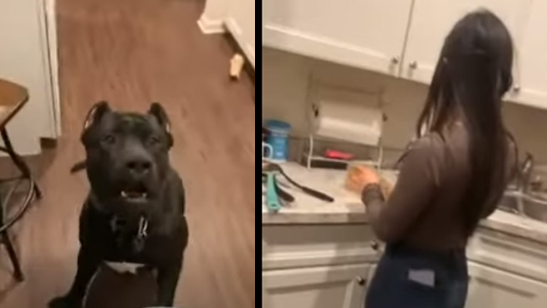 Κάτω τα χέρια σου από τη μαμά μου!