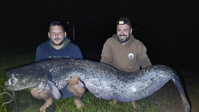 Γουλιανός ρεκόρ μήκους 2,40 μέτρων αλιεύτηκε στη λίμνη Πλαστήρα