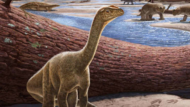 Ανακαλύφθηκε ο Mbiresaurus, ο αρχαιότερος δεινόσαυρος της Αφρικής