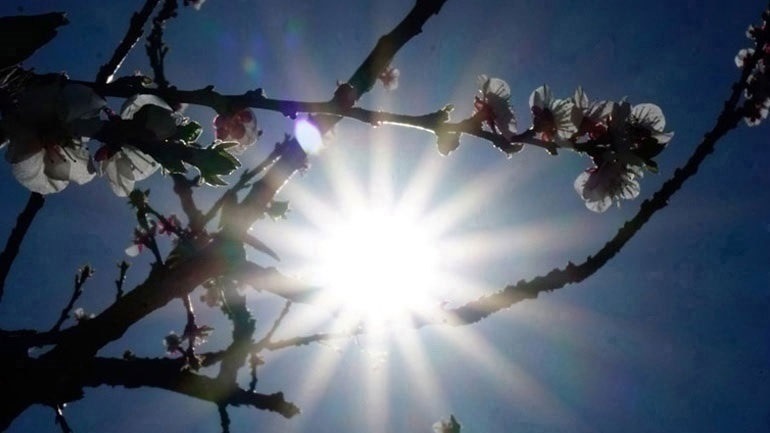 Aίθριος ο καιρός την Κυριακή στο μεγαλύτερο μέρος της χώρας