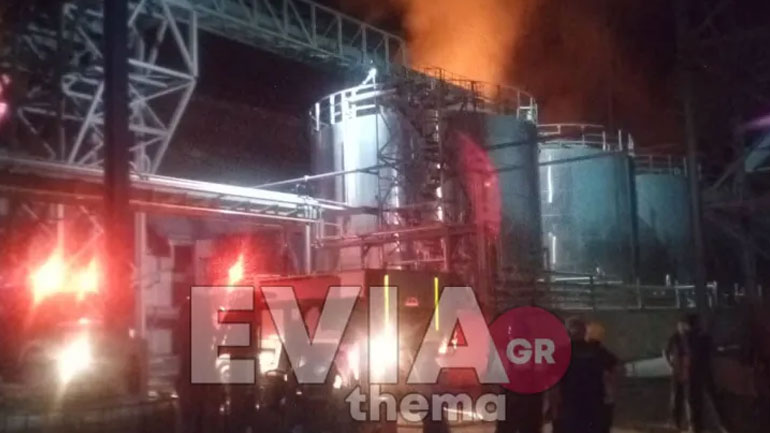 Φωτιά σε εργοστάσιο στα Ψαχνά Ευβοίας