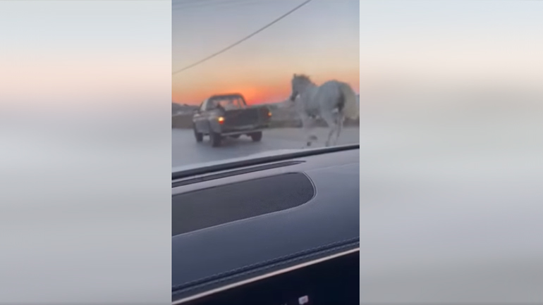 Μύκονος: Έδεσαν άλογο με σχοινί και το έσερναν με αγροτικό