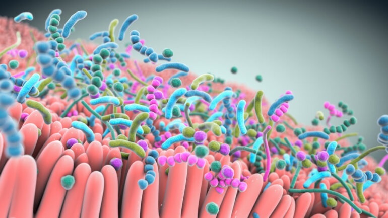 Ο ρόλος του εντέρου στη νόσο COVID-19