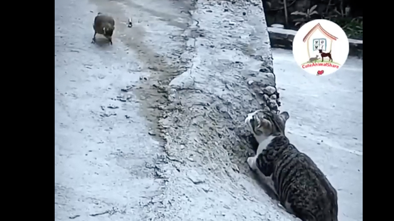 Ο μικρός κυνηγός