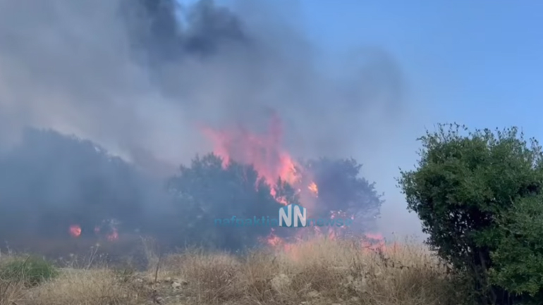 Οριοθετήθηκε η φωτιά στην Αφροξυλιά Ναυπακτίας