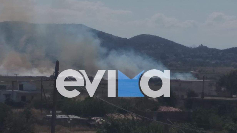 Εύβοια: Φωτιά στα Κριεζά κοντά σε σπίτια