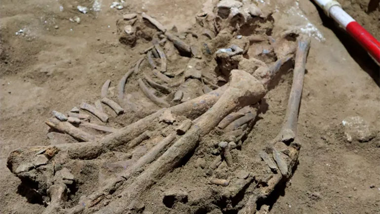 Ινδονησία: Ανακαλύφθηκε η αρχαιότερη ένδειξη ακρωτηριασμού που έγινε πριν 31.000 χρόνια