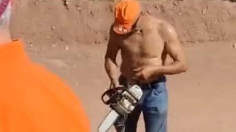 Ράλλυ Ακρόπολις: Έκοψαν δέντρο με αλυσοπρίονο γιατί εμπόδιζε τη θέα στον αγώνα