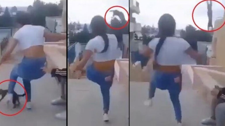 Κρήτη: Πρόστιμο 5.000 ευρώ στη 15χρονη για την κακοποίηση της γάτας