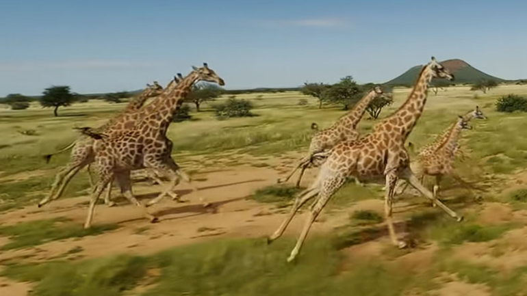 Ίσως το καλύτερο fpv βίντεο που είδατε ποτέ: «Σαφάρι» στη Ναμίμπια!