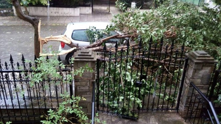 Σέρρες: Νεκρός 69χρονος που καταπλακώθηκε από δέντρο στην αυλή του σπιτιού του