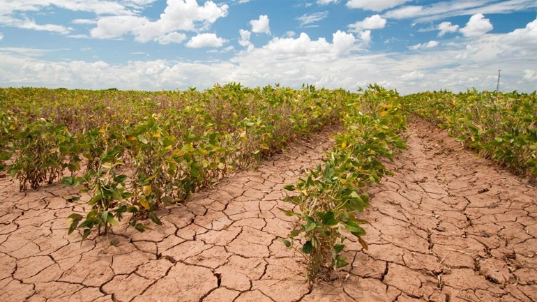 Η κλιματική αλλαγή μπορεί να κάνει τις πανδημίες πιο συχνές