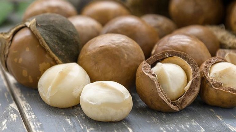 Είναι ο ξηρός καρπός Μacadamia το νέο superfood;