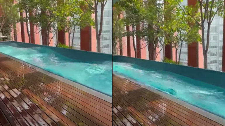 Ο σεισμός στo Μεξικό από μια πισίνα στην κορυφή ενός ουρανοξύστη