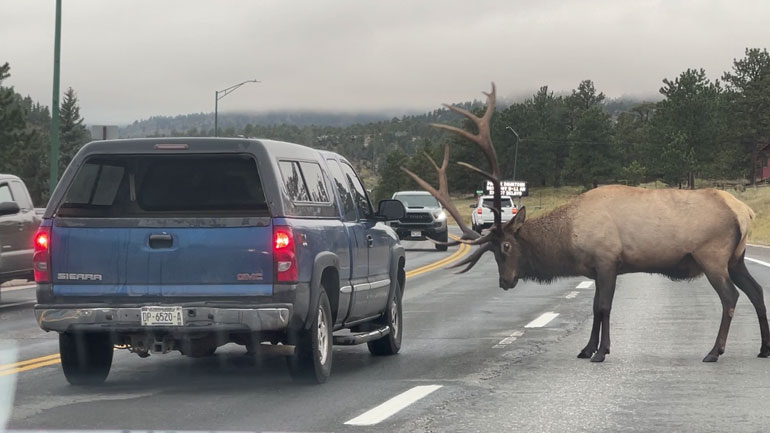 Είσαι να παλέψουμε;