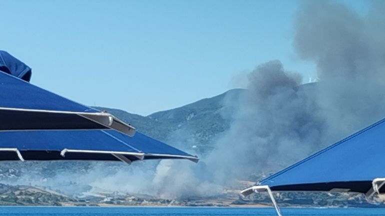 Ναύπακτος: Φωτιά στην περιοχή Καραούλια