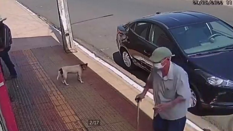 Σκύλος κάνει την τέλεια ληστεία