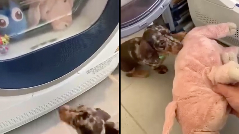 Ο αποχωρισμός είναι δύσκολος